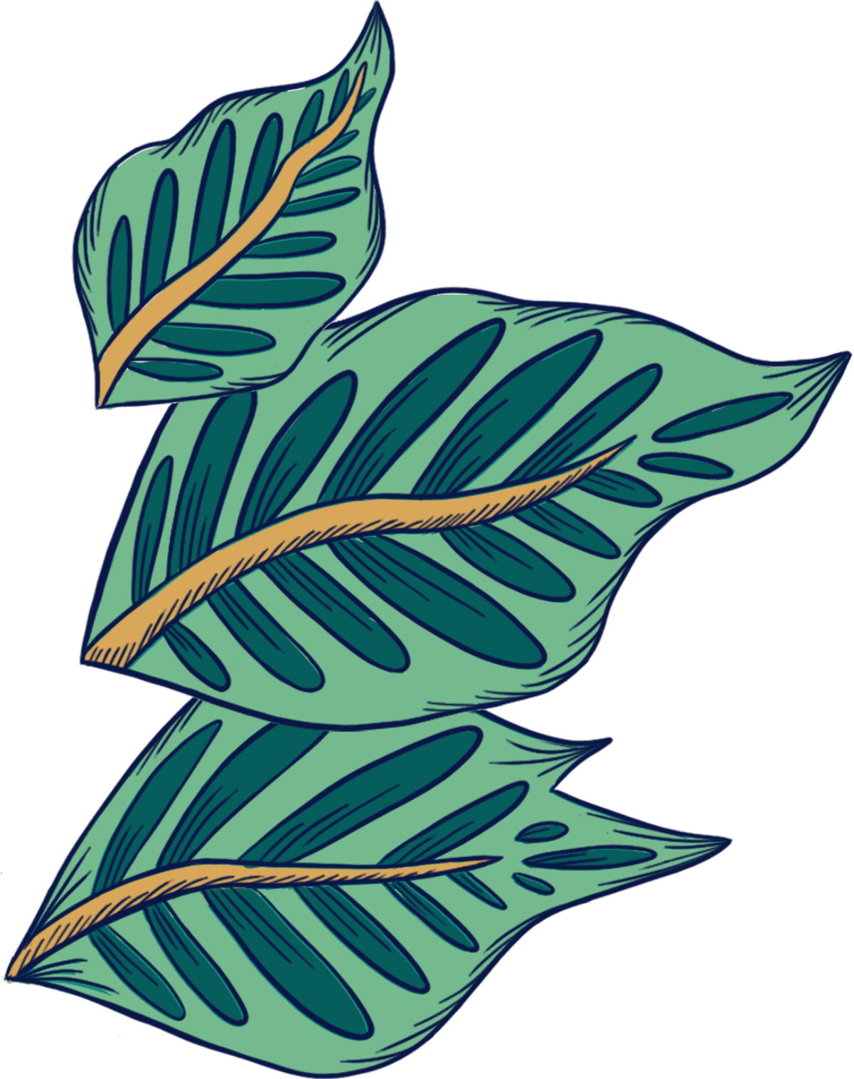 Leaves Decor