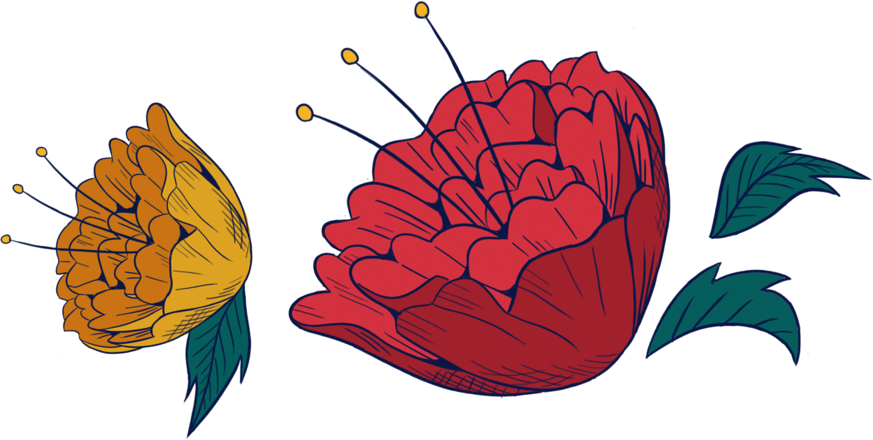 Flowers Decor
