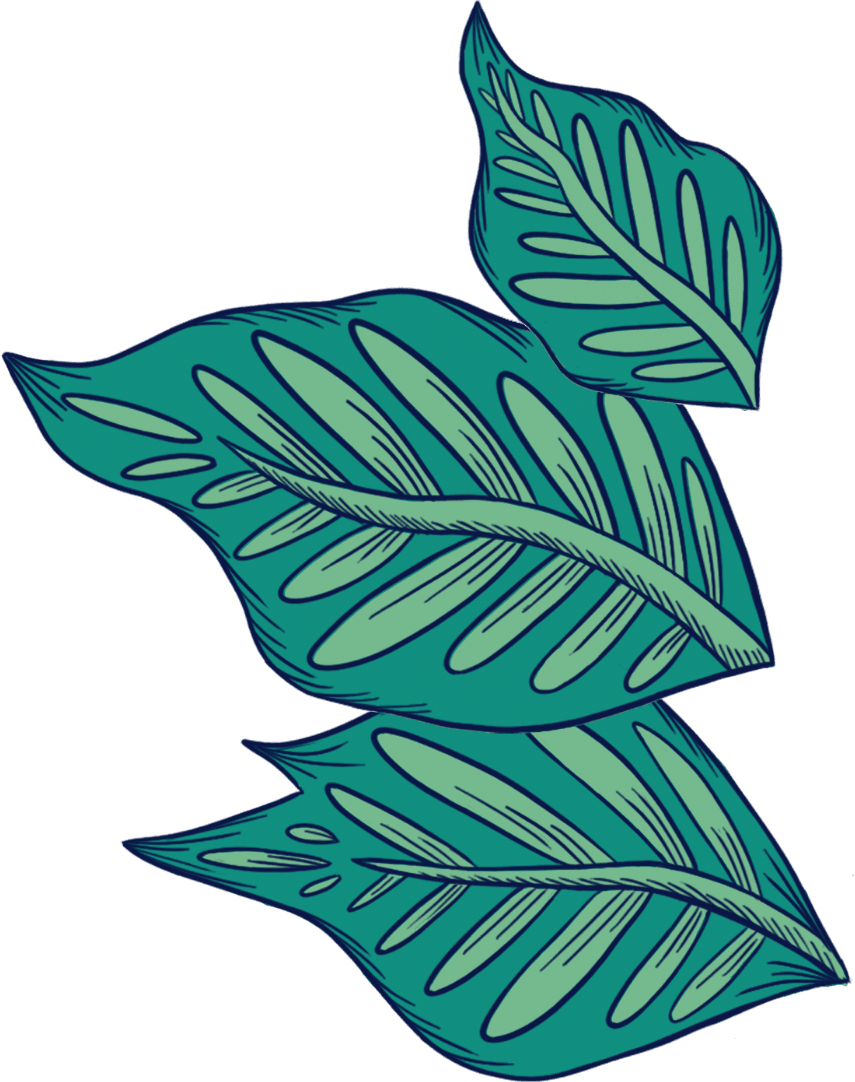 Leaves Decor