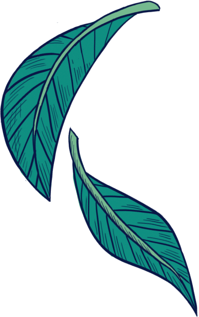 Leaves Decor